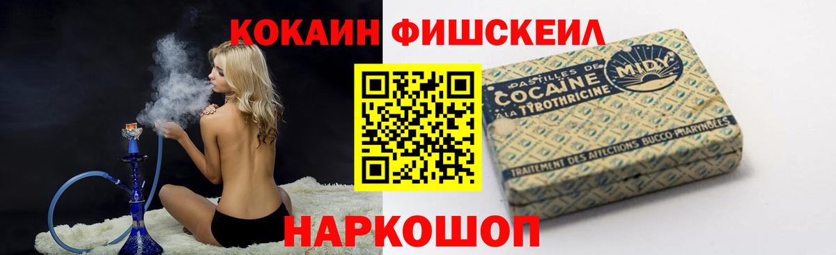 что такое   Артём  КОКАИН Fish Scale 