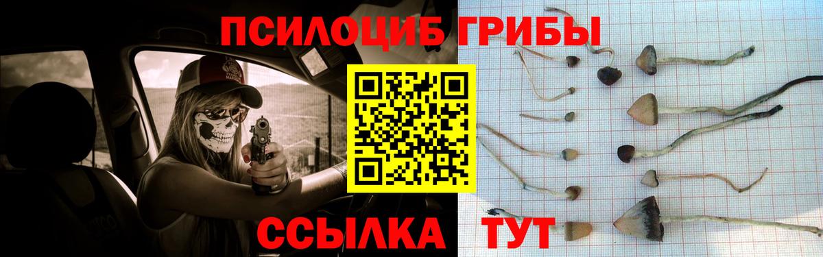 Псилоцибиновые грибы прущие грибы  Галлюциногенные грибы Psilocybe  Вход с VPN  продажа наркотиков  Артём 